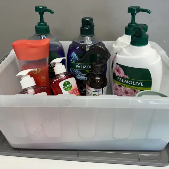 Lidded Clear Bin Of Bathroom Sundries Including Hand Wash, Body Wash Etc